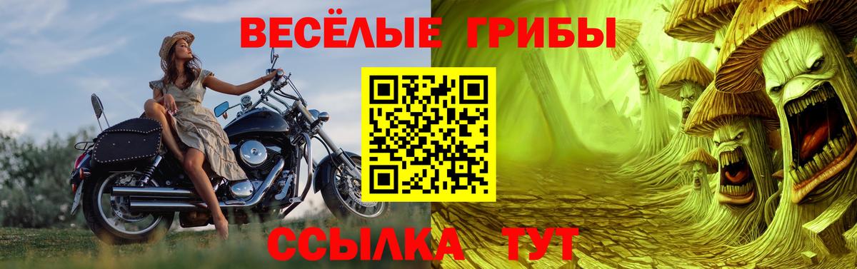 сколько стоит  Вход с VPN  Звенигород  Галлюциногенные грибы мухоморы 